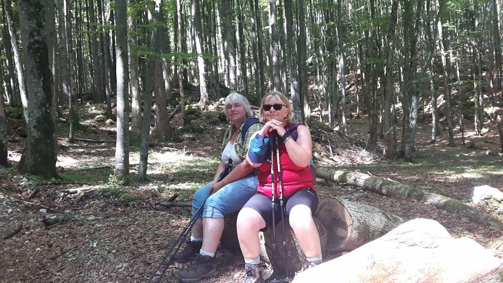 Hofalm Wanderung am 26.6.19